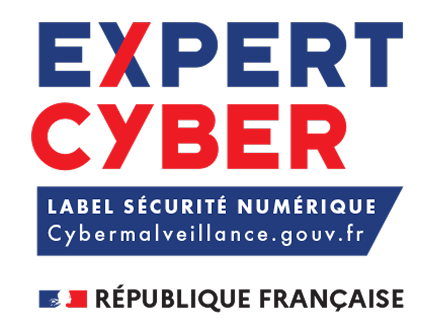 Expert Cyber Logo